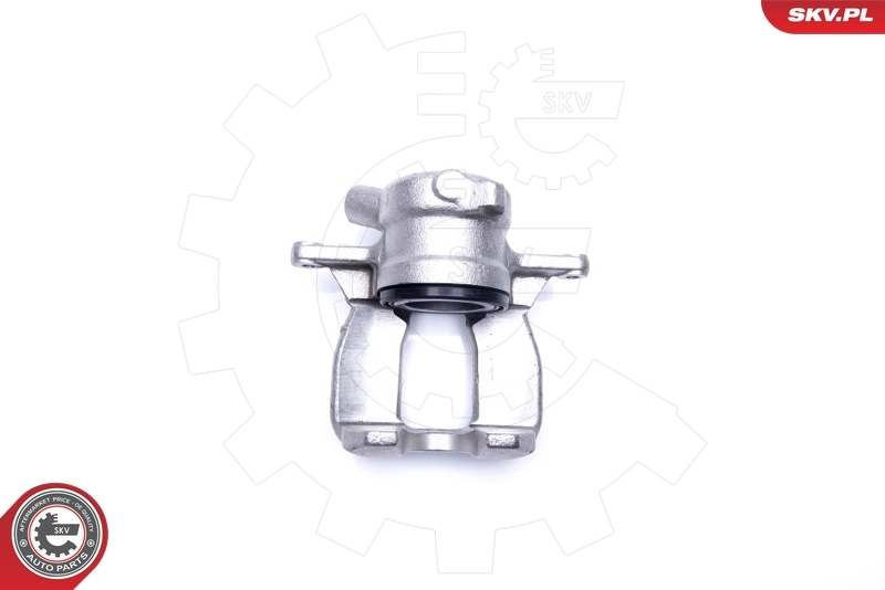 Brake Caliper 44SKV741