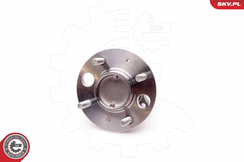 Wheel Bearing Kit 29SKV111