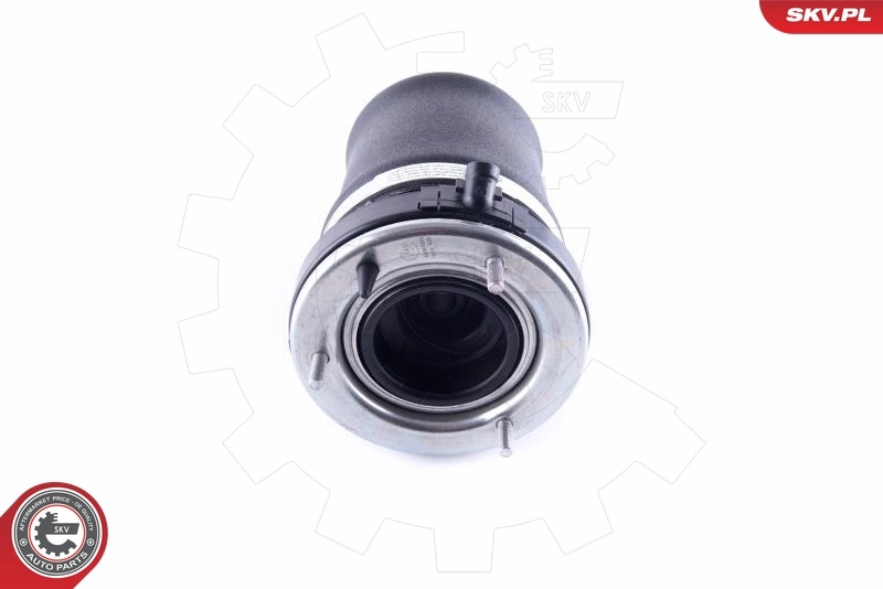 Air Spring, suspension 58SKV053