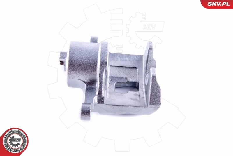 Brake Caliper 55SKV112