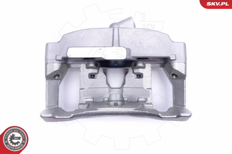 Brake Caliper 55SKV632