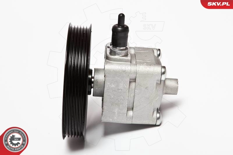 Hydraulic Pump, steering 10SKV092
