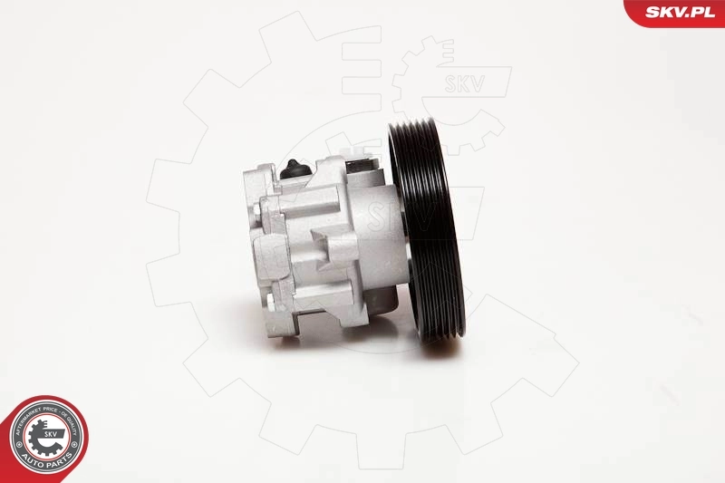 Hydraulic Pump, steering 10SKV100