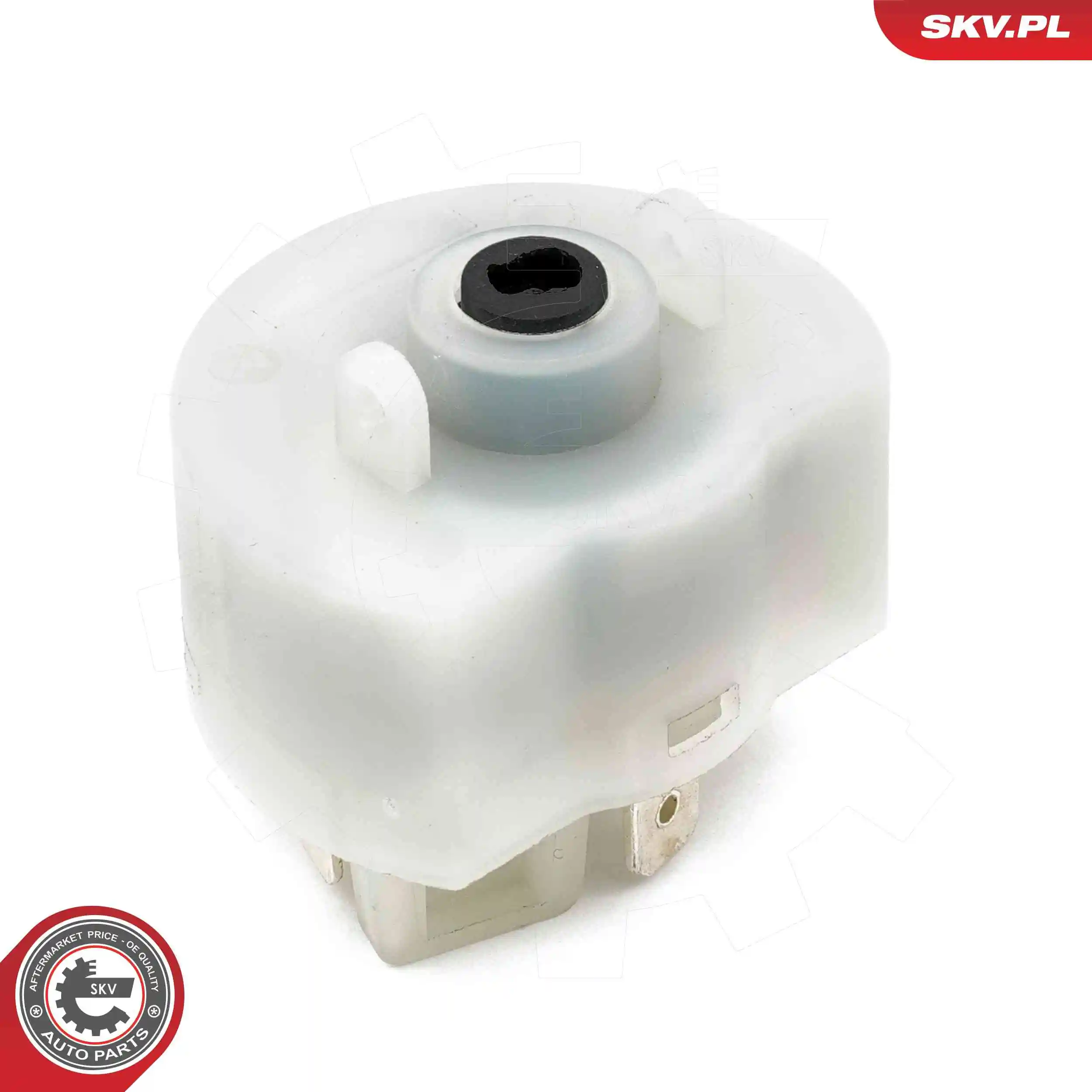 Ignition Switch 65SKV023