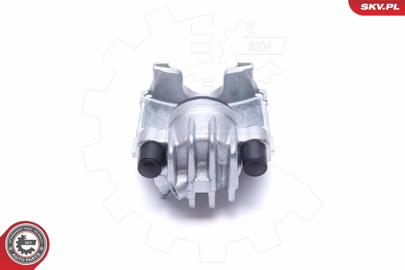 Brake Caliper 55SKV762