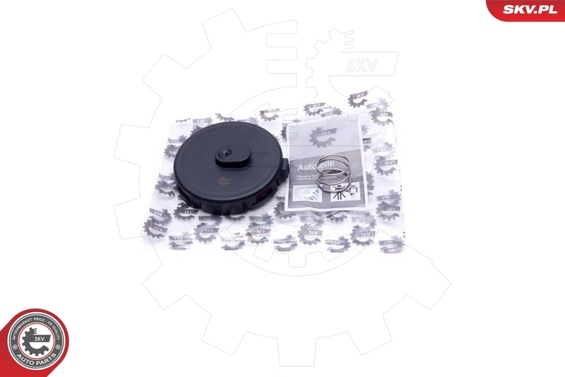 Membrane, crankcase ventilation 31SKV190