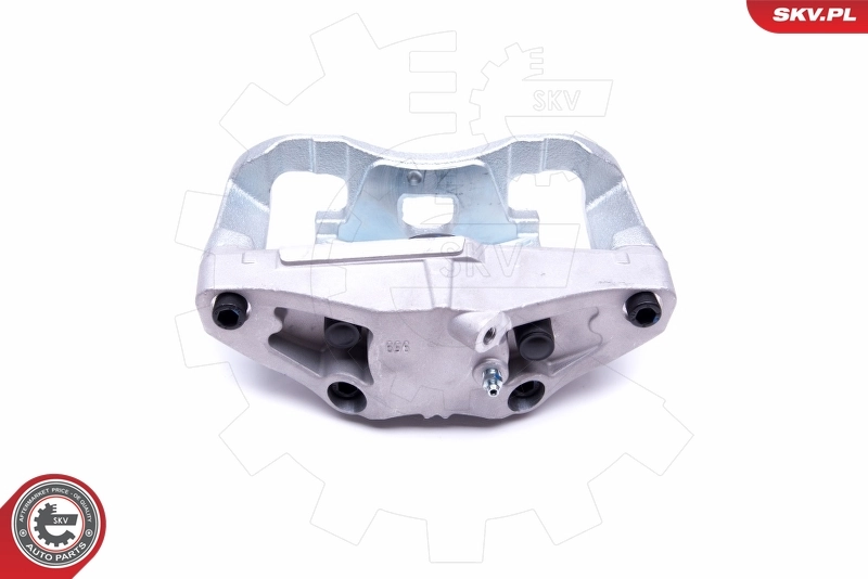 Brake Caliper 46SKV161