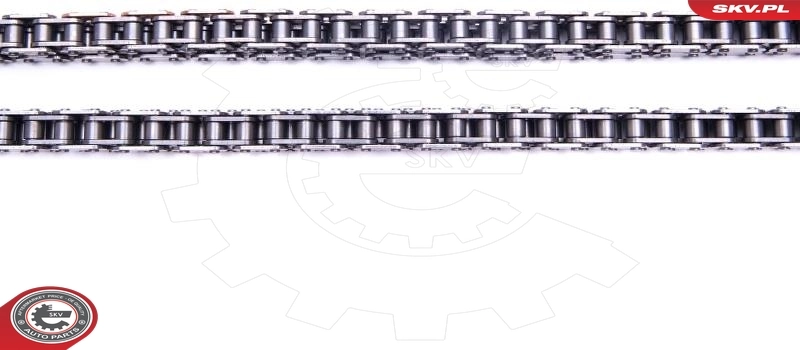 Timing Chain Kit 21SKV192