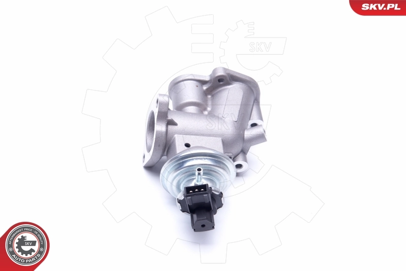 EGR Valve 14SKV181
