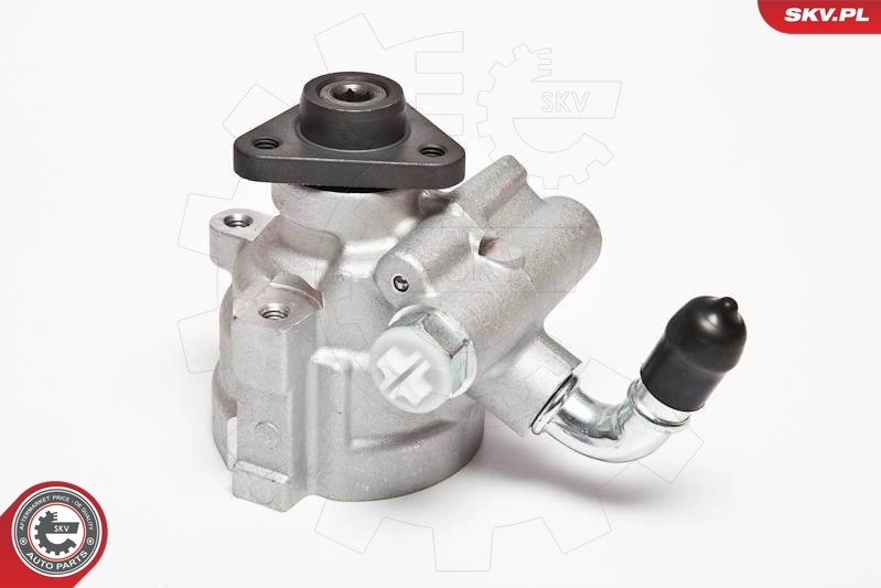 Hydraulic Pump, steering 10SKV064