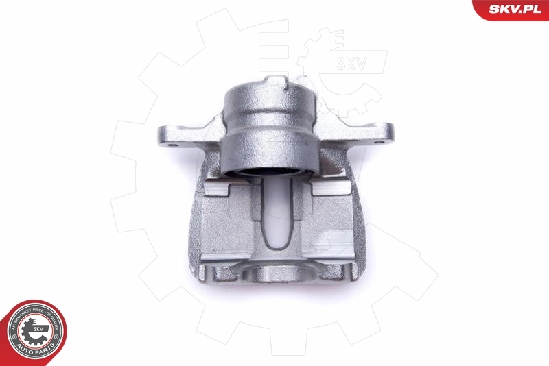 Brake Caliper 55SKV712