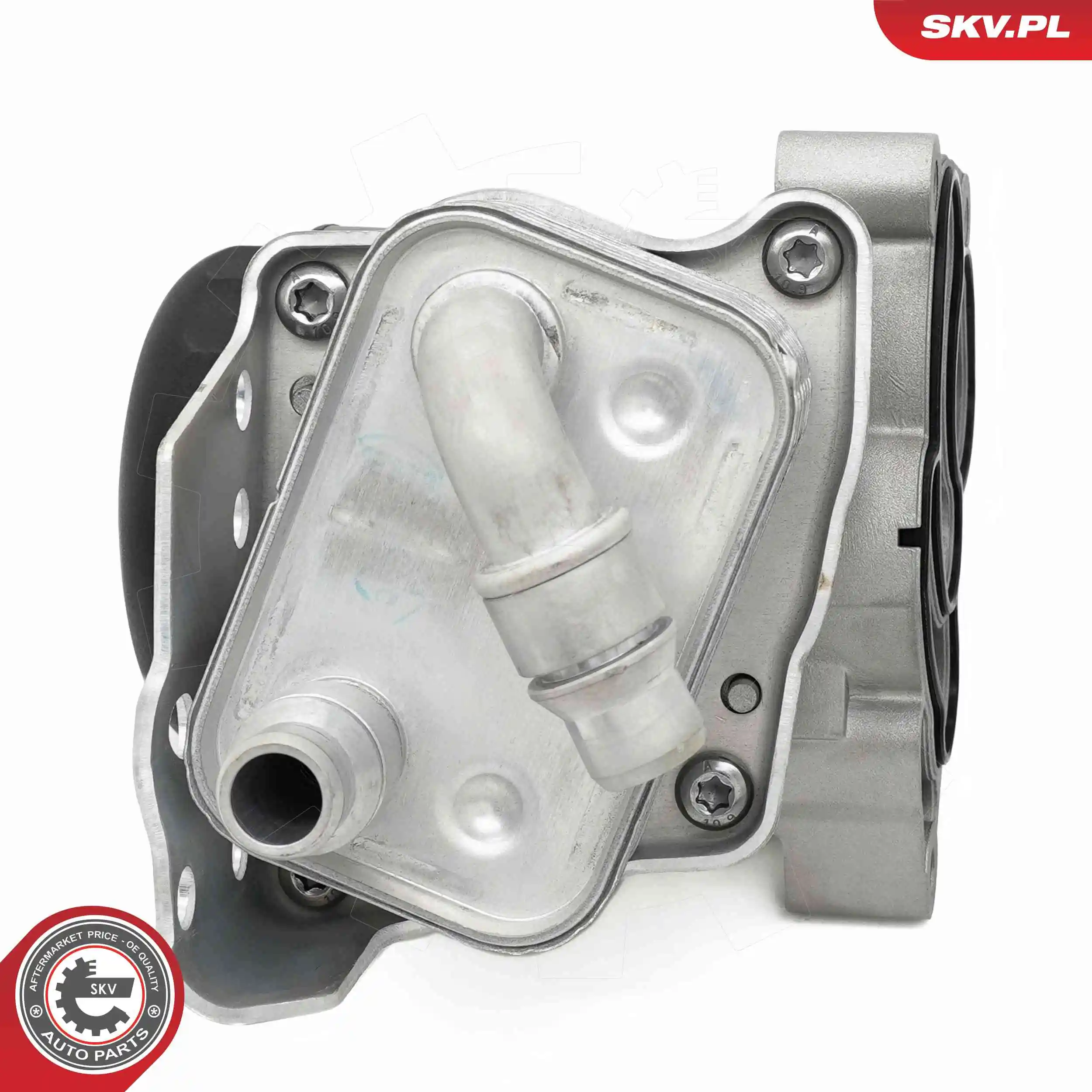 Oil Cooler, engine oil 31SKV443