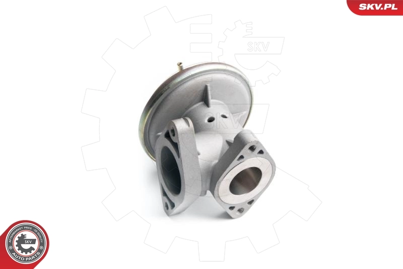 EGR Valve 14SKV098