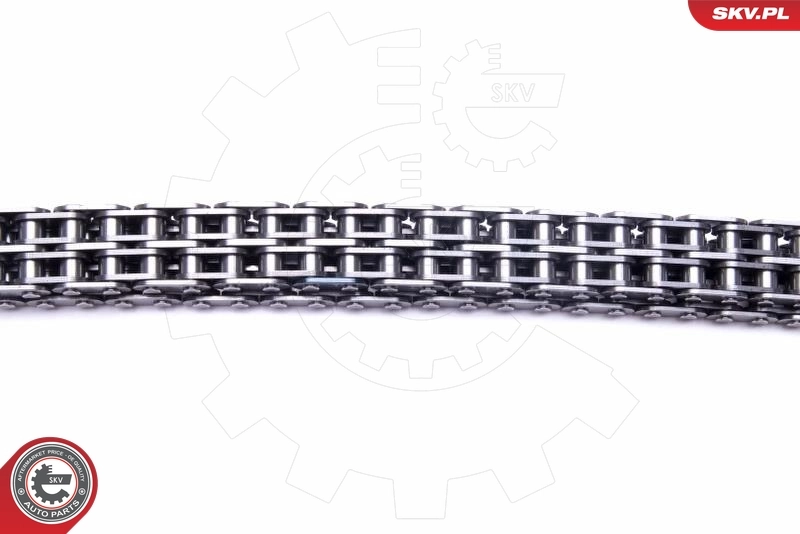 ESEN SKV 21SKV247 Timing Chain Kit
