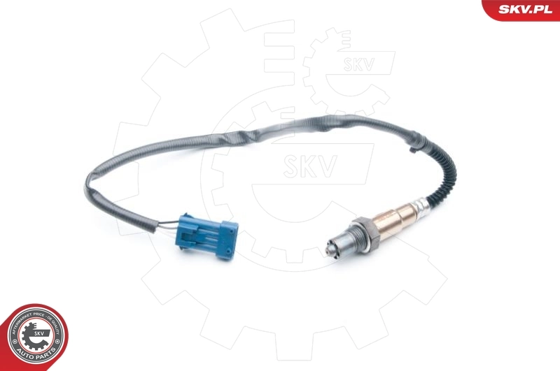 Oxygen Sensor 09SKV689