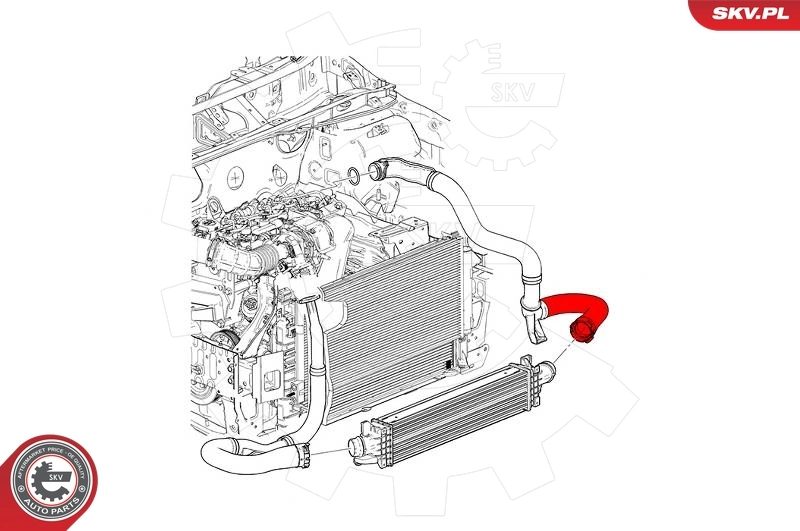 Charge Air Hose 43SKV256