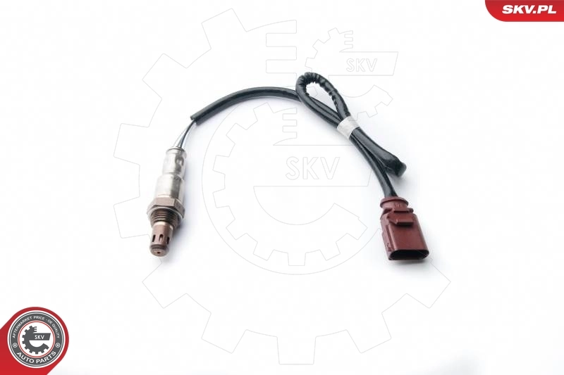 Oxygen Sensor 09SKV991