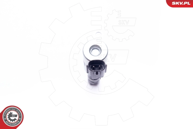 Control Valve, camshaft adjustment 39SKV032