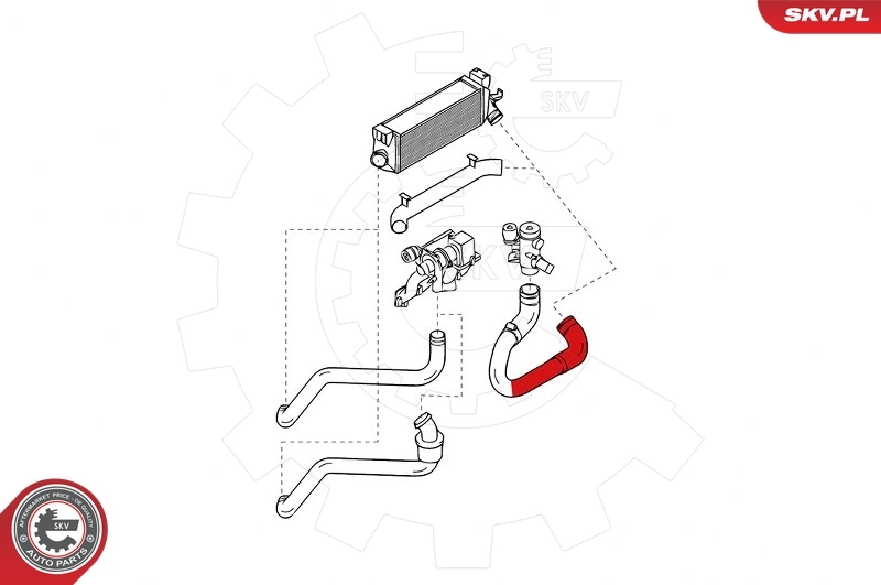 Charge Air Hose 24SKV804