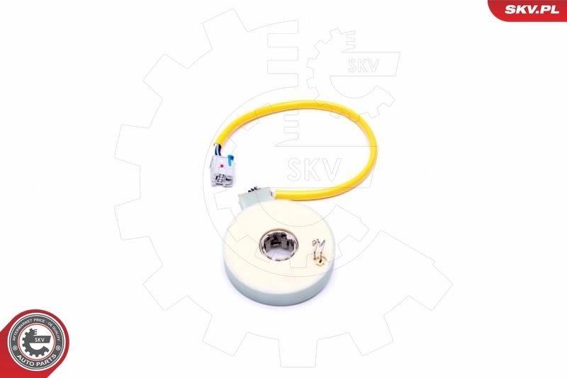 Sensor sudut kemudi 17SKV482