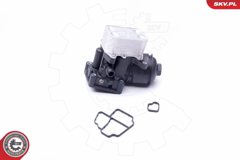 Housing, oil filter 31SKV054
