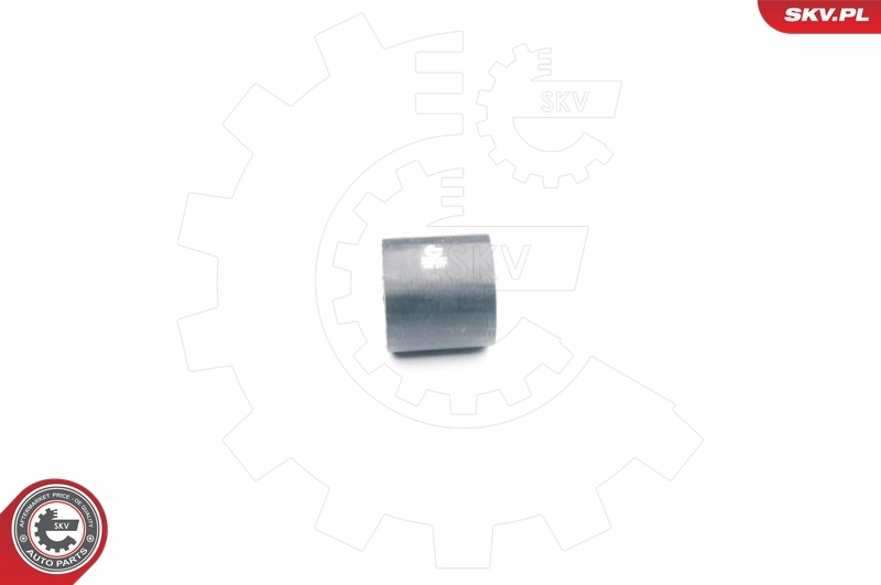 Charge Air Hose 24SKV036