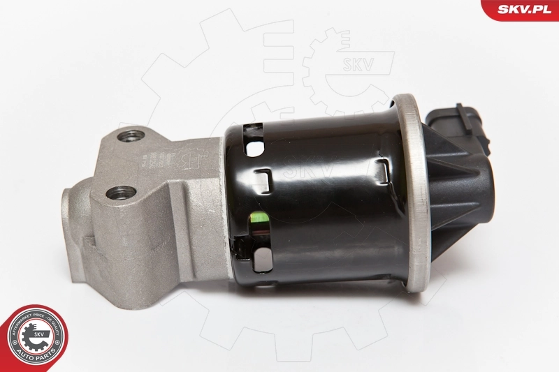 EGR Valve 14SKV053