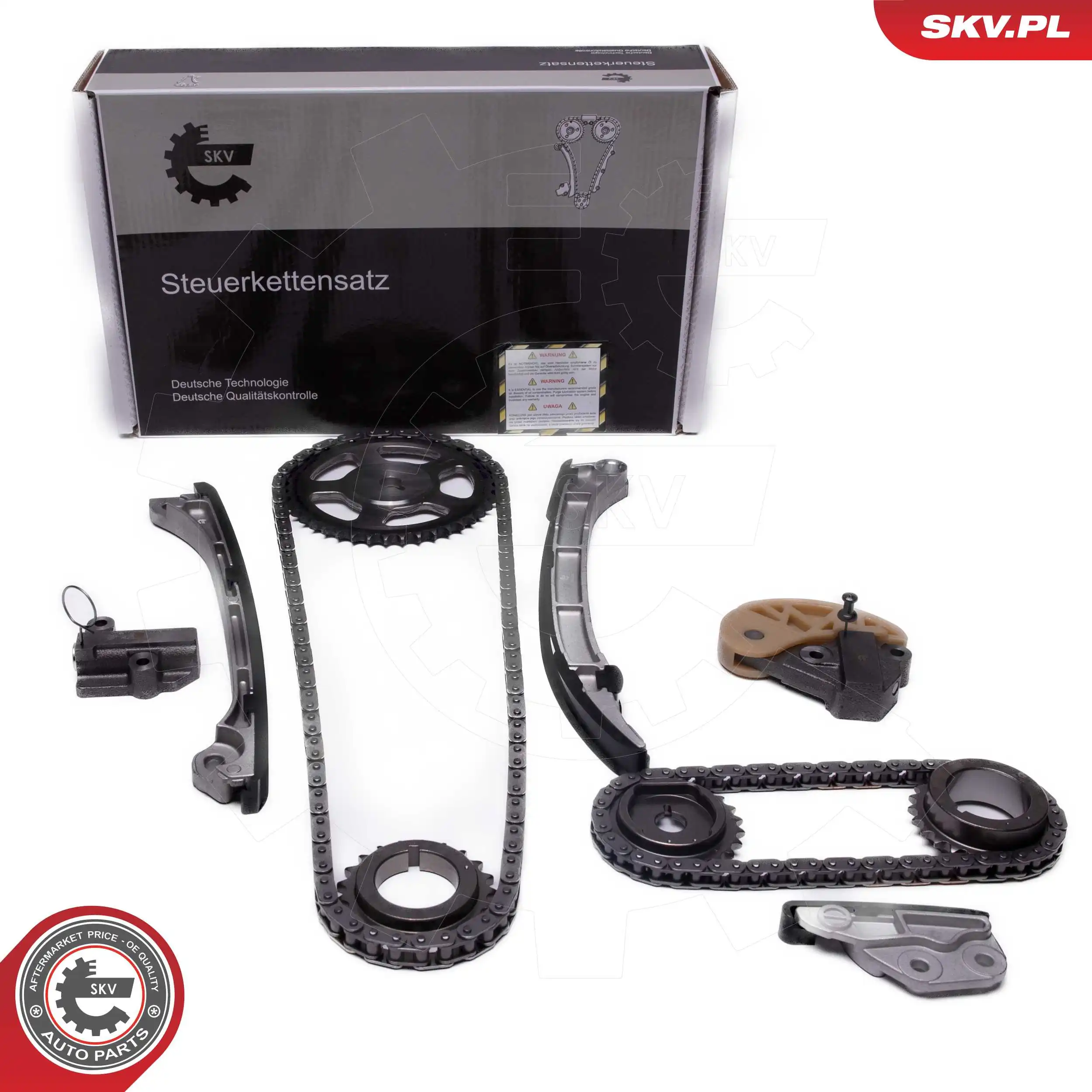 Timing Chain Kit 21SKV250