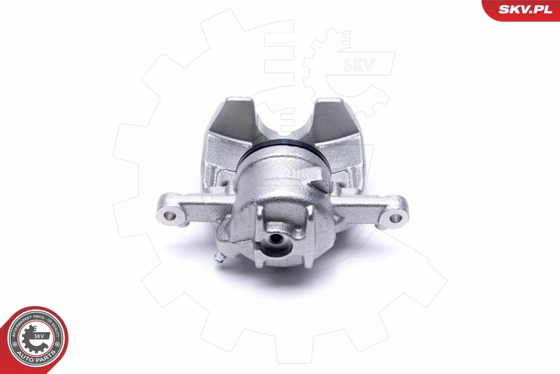 Brake Caliper 55SKV722