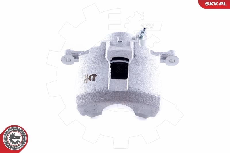 Brake Caliper 55SKV101