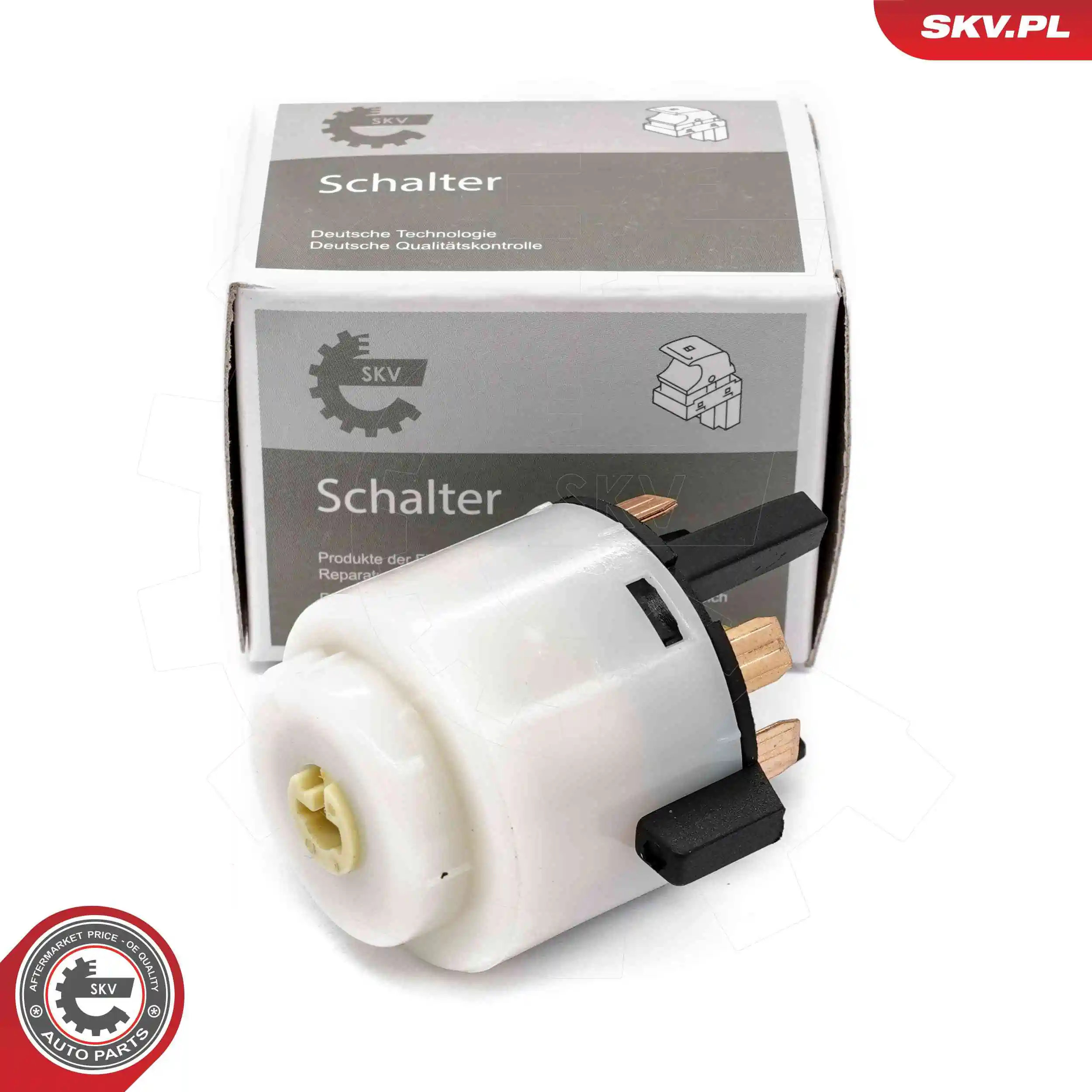 Ignition Switch 65SKV017