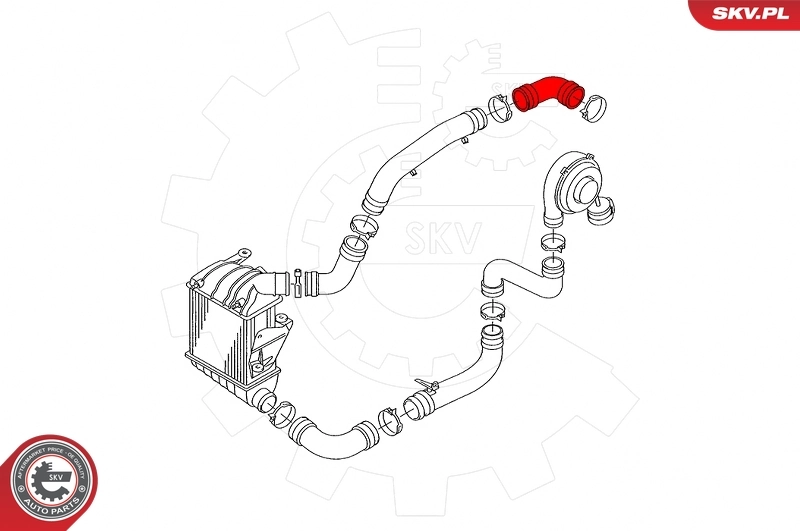 Charge Air Hose 24SKV508