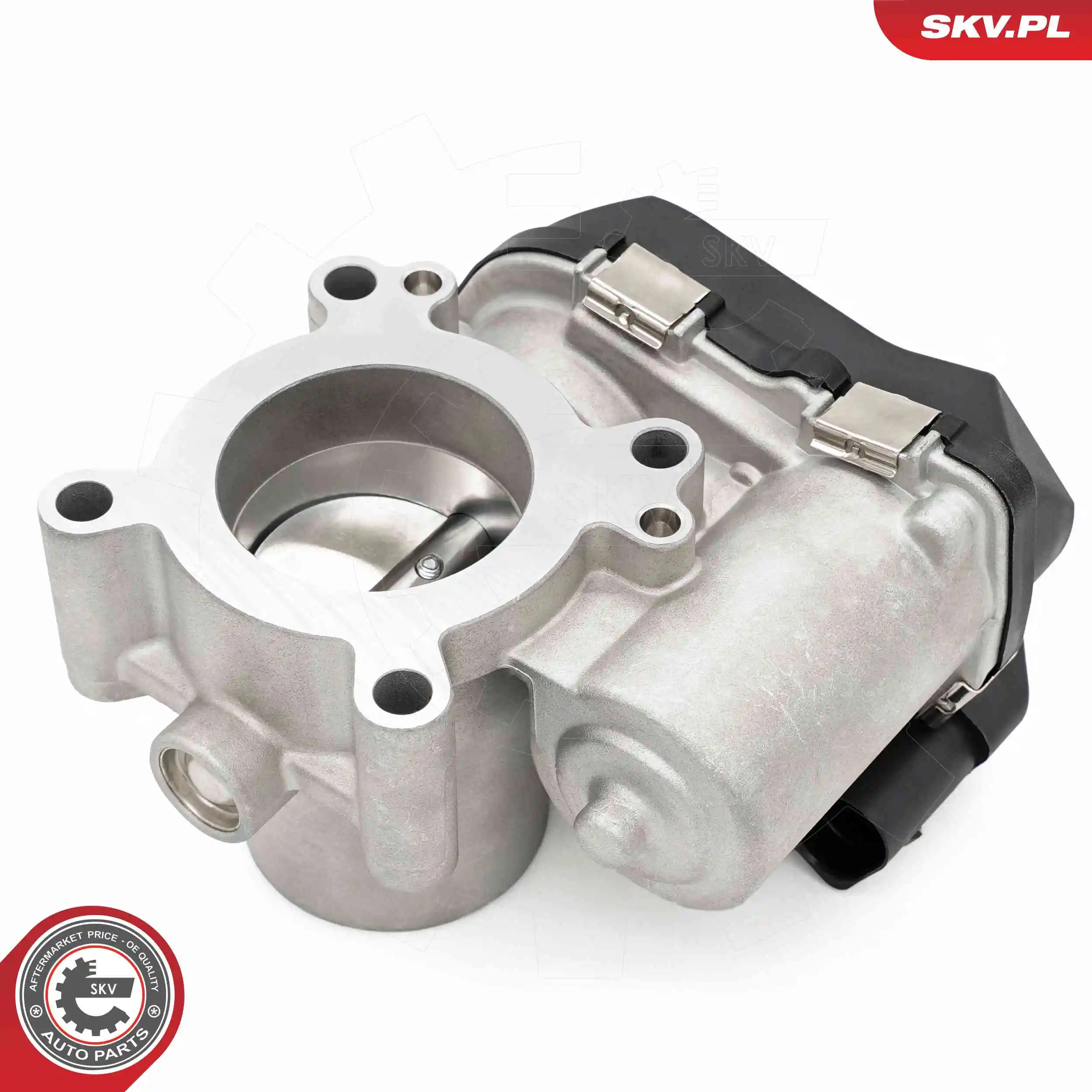 Throttle Body 12SKV144