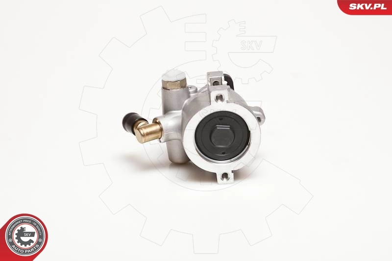 Hydraulic Pump, steering 10SKV053