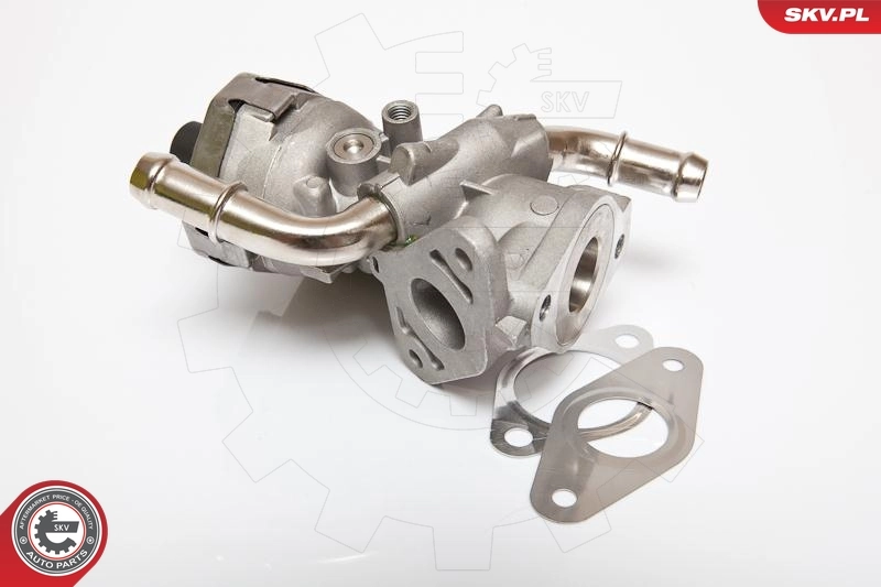 EGR Valve 14SKV044