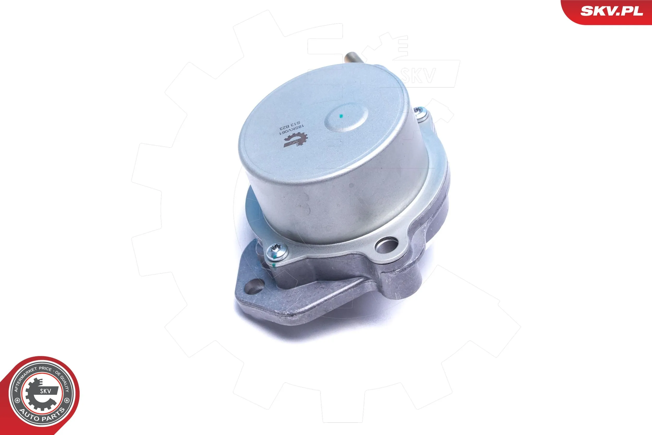 Vacuum Pump, braking system 18SKV061