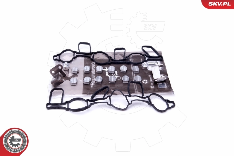 Repair Kit, intake manifold module 49SKV523