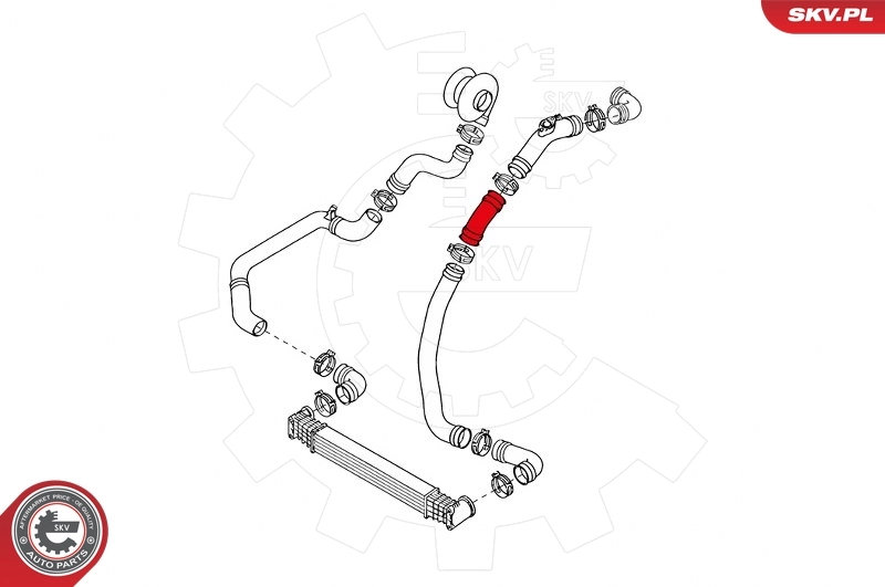 Charge Air Hose 24SKV653