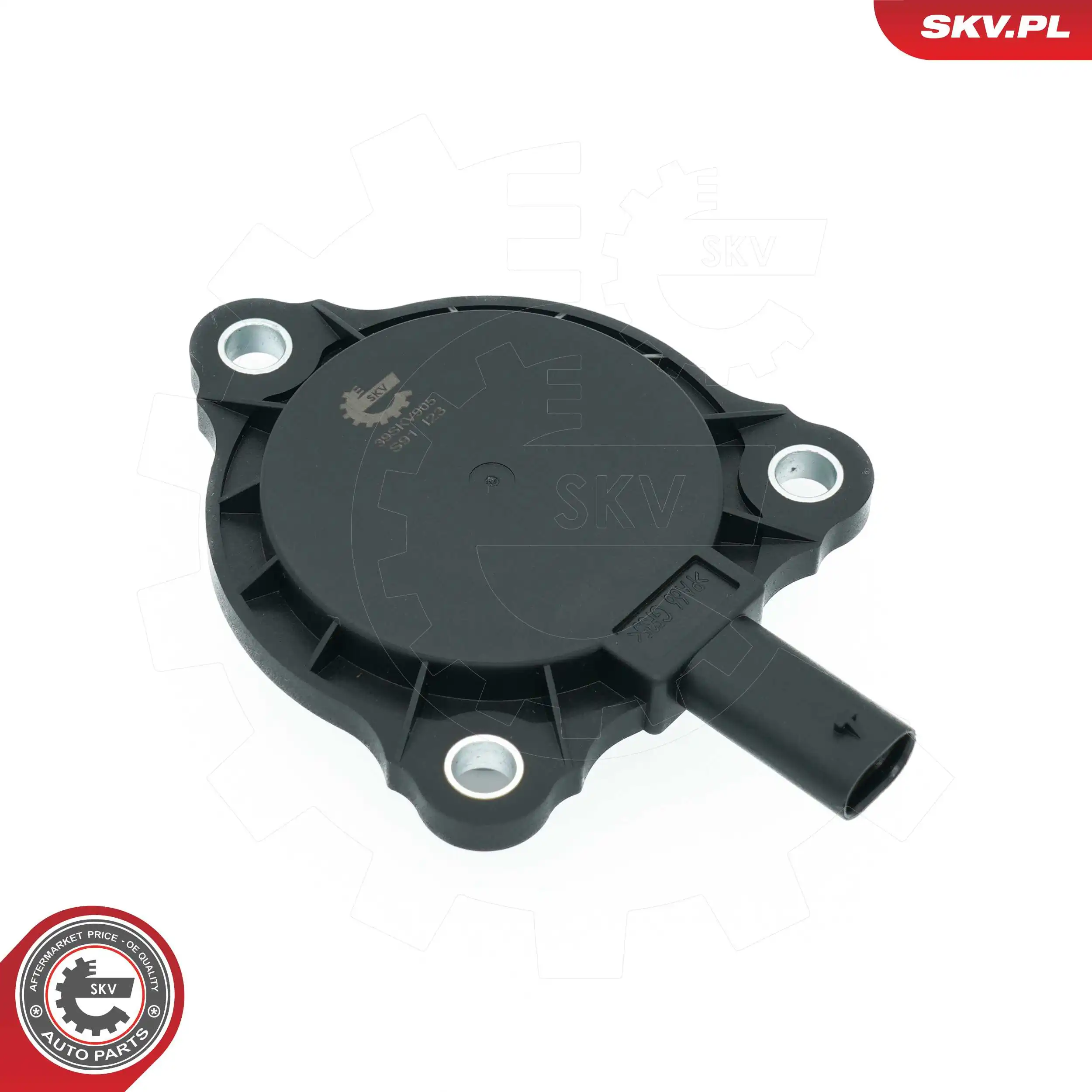 Central Magnet, camshaft adjustment 39SKV905