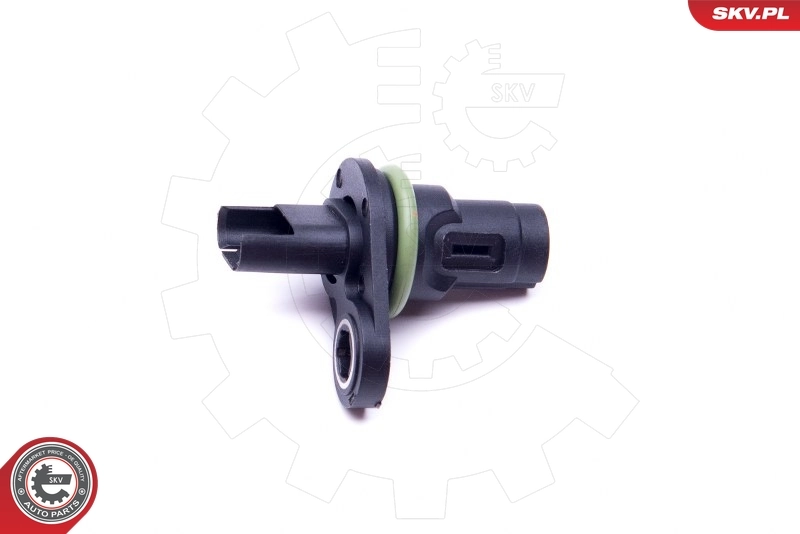 Sensor, camshaft position 17SKV494