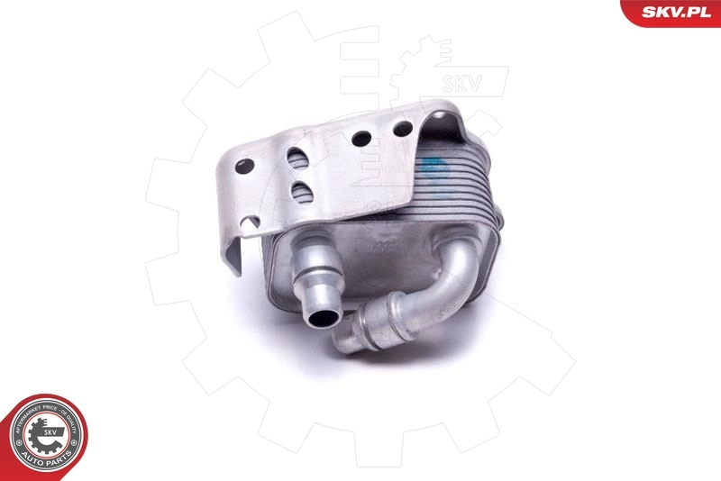 Oil Cooler, engine oil 31SKV223