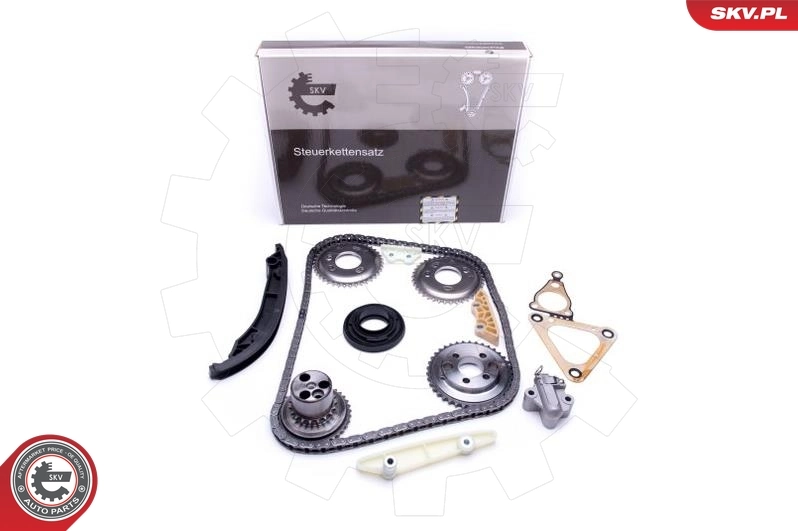 Timing Chain Kit 21SKV123