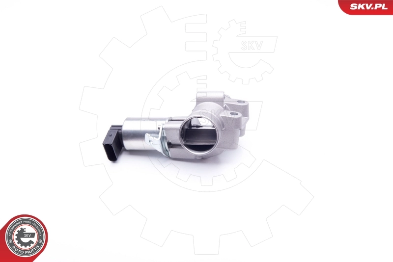 EGR Valve 14SKV186