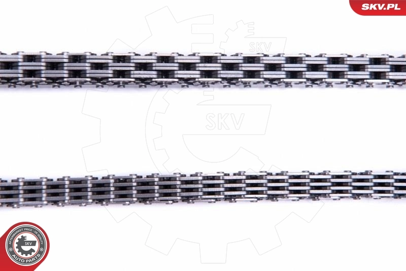 Timing Chain Kit 21SKV232