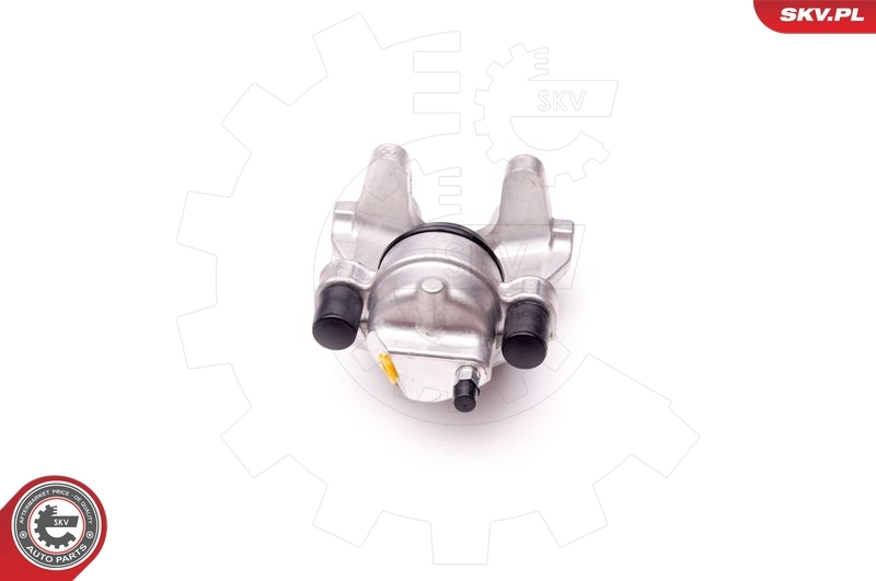 Brake Caliper 23SKV793