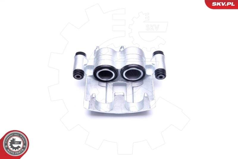 Brake Caliper 42SKV861