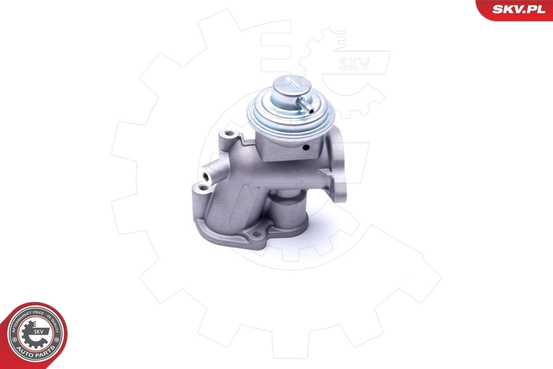EGR Valve 14SKV180