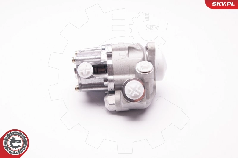 Hydraulic Pump, steering 1SKV0002