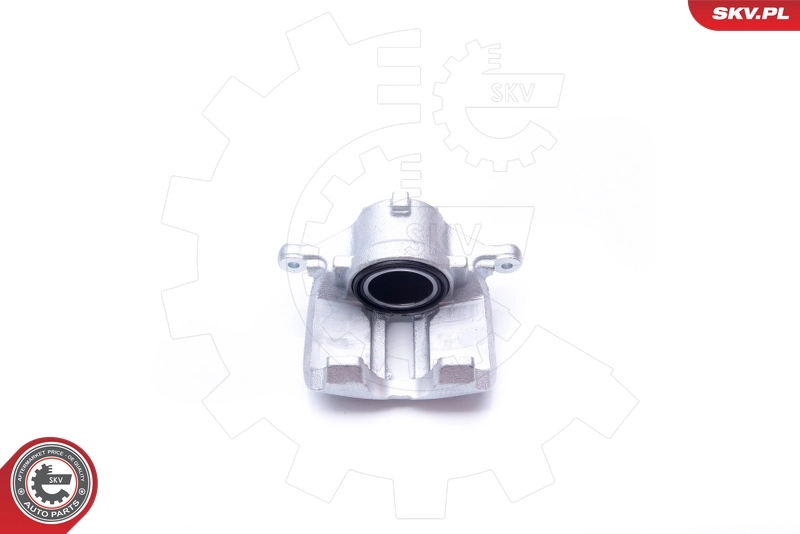 Brake Caliper 23SKV231