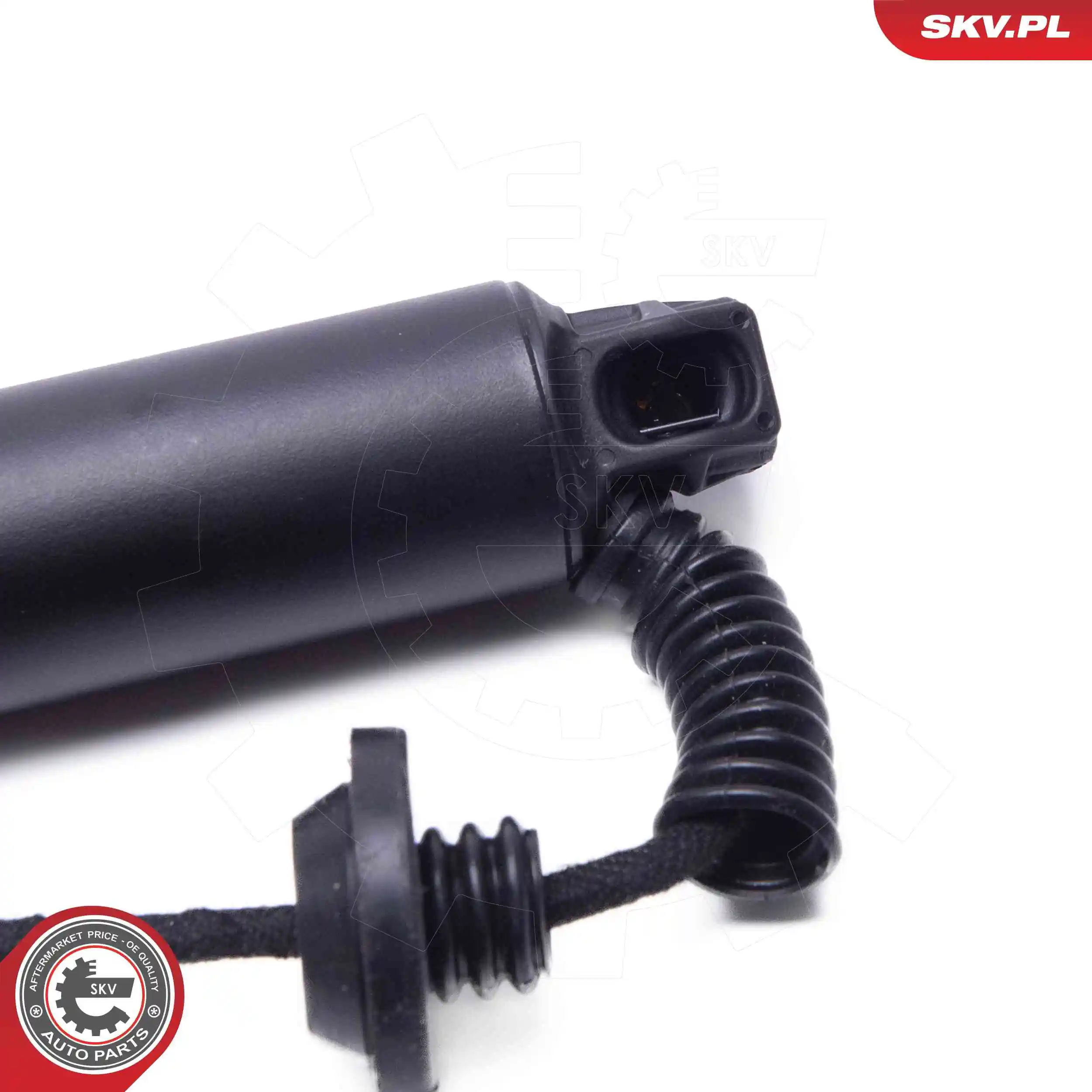 ESEN SKV 52SKV969 Electric Motor, tailgate